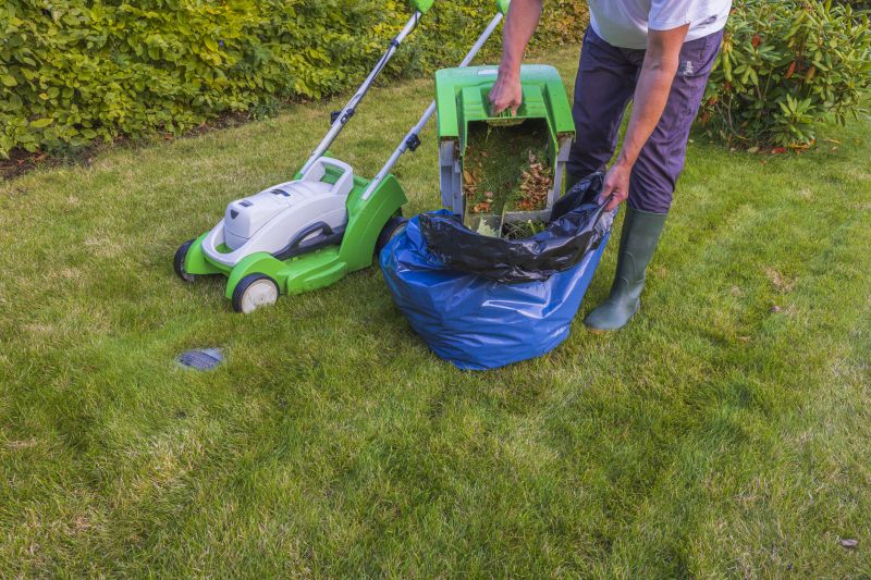 Removing Lawn Debris