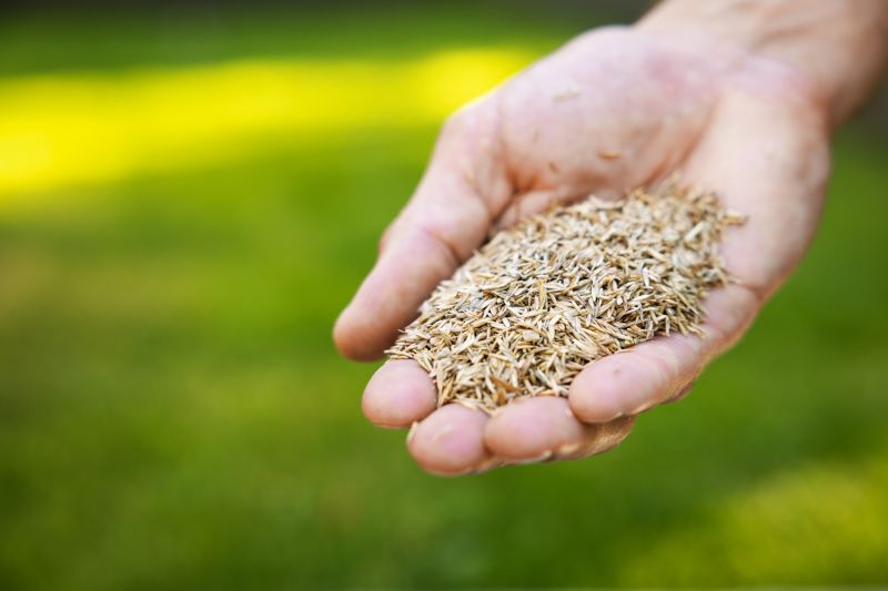 Grass Seed Installation in Ventura County, CA