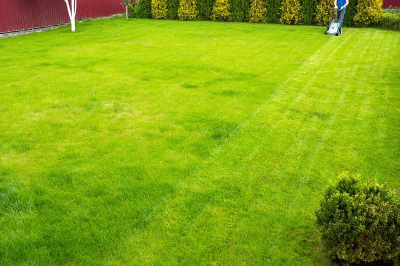 Healthy Lawn Growth