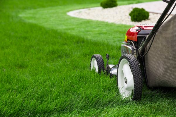 Commercial Mowing
