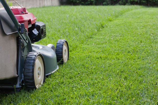 Residential Mowing